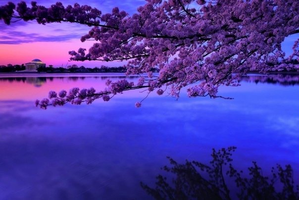 Природа Японии