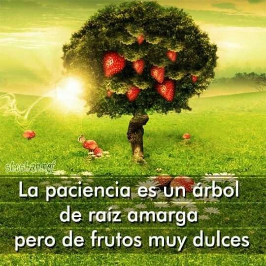 Клубника на дереве