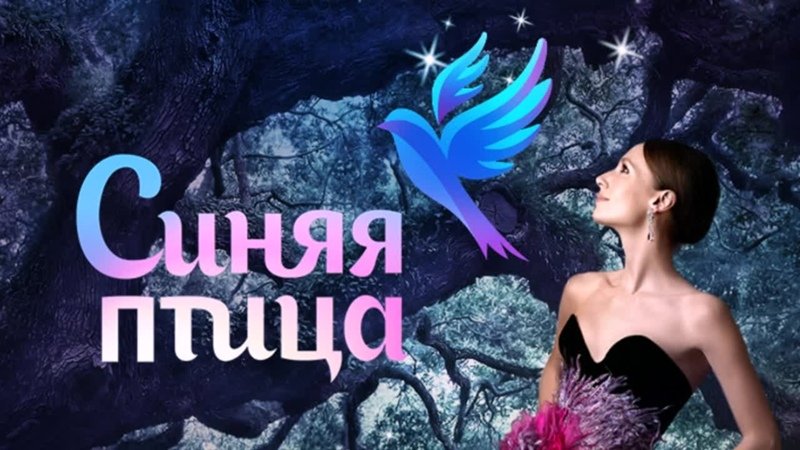 Синяя птица программа