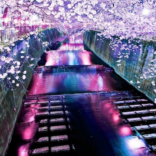 Сеул Сакура