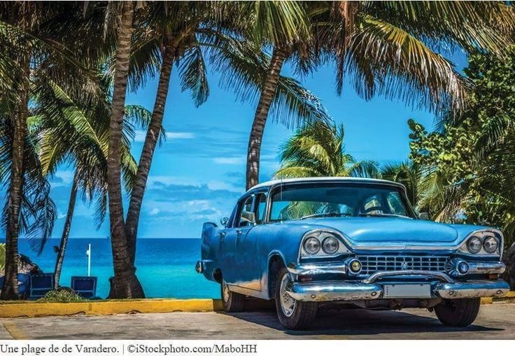 Машина и пальмы