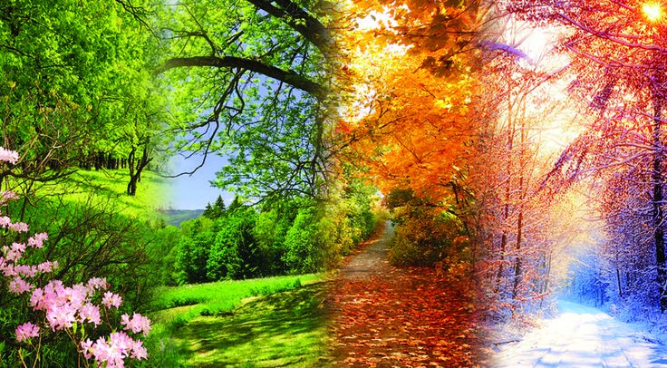 Пейзаж времена года