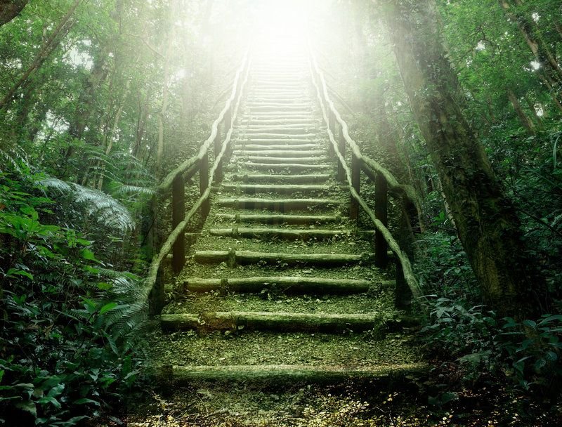 Ступеньки в лесу