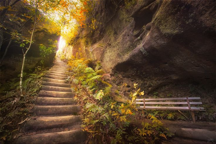 Сказочная лестница