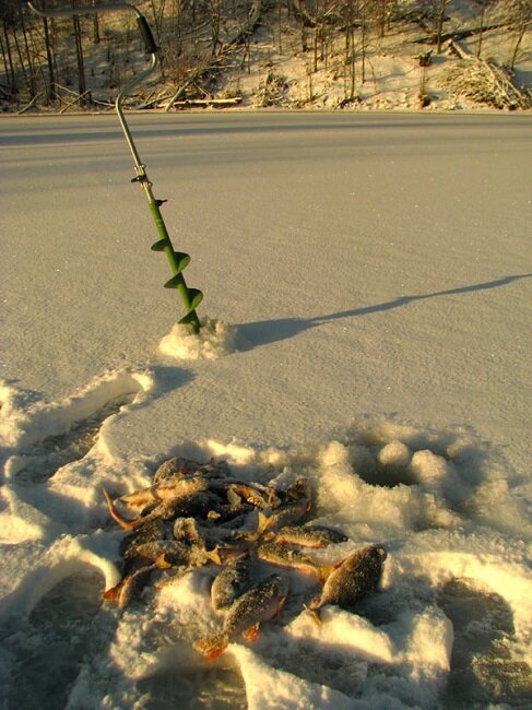 Зимняя рыбалка заставка