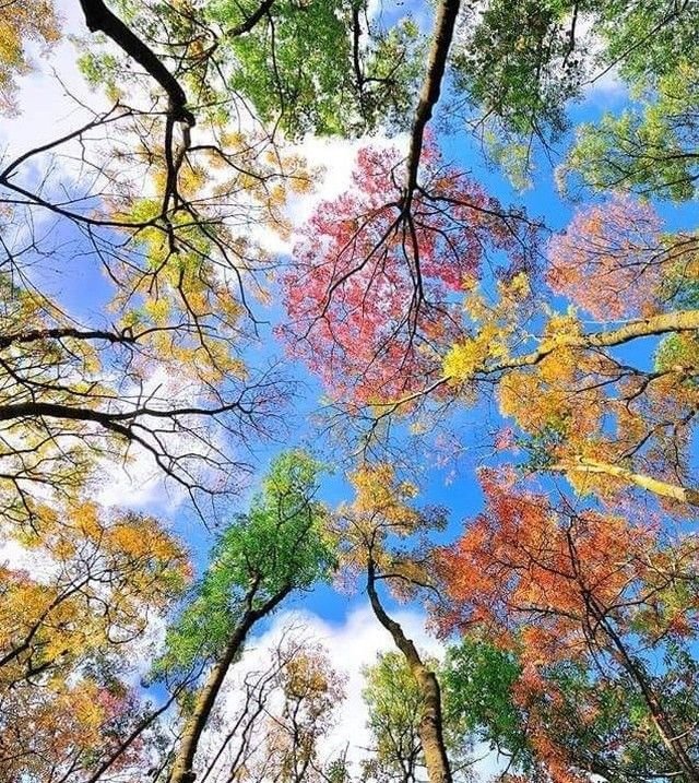 Яркие краски осени