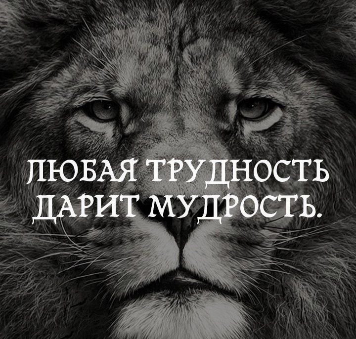 Красивые цитаты на аватарку