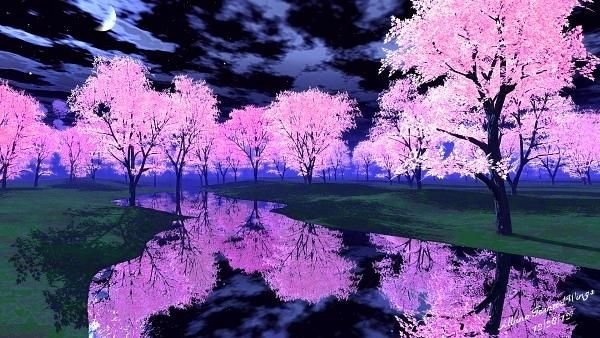 Цветущая Сакура Геншин