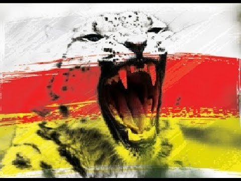 Красивый флаг Осетии