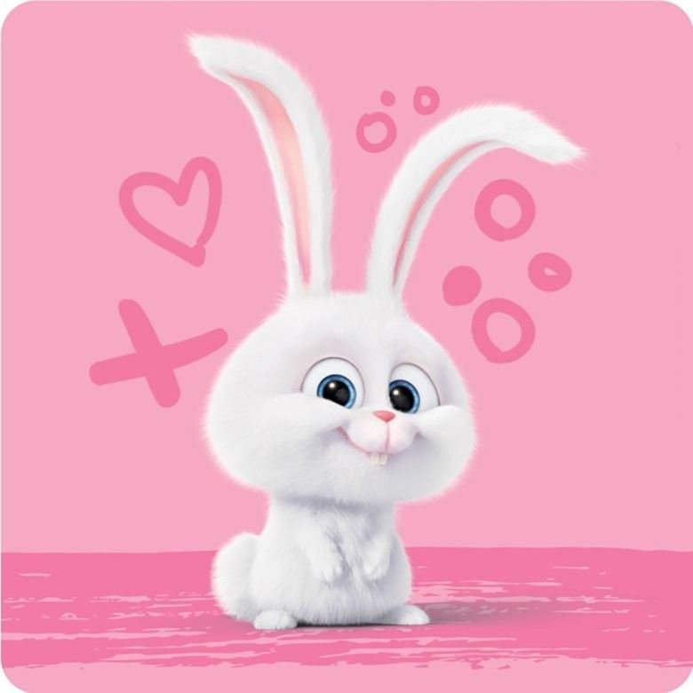 Тайная жизнь домашних животных зая