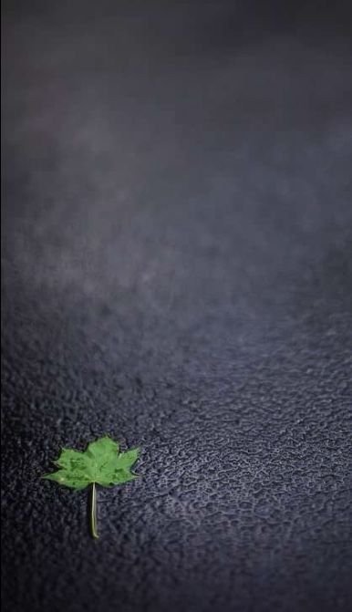 Обои на телефон однотонные