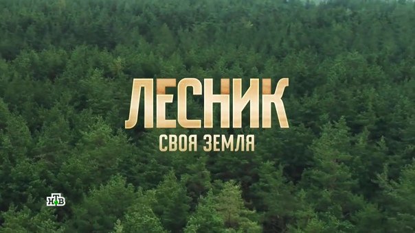 Лесник обложка