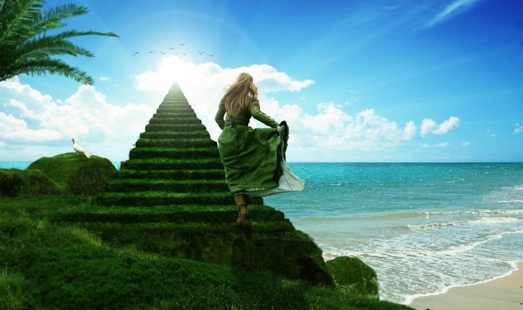 Лестница к богатству