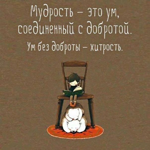 Аватарки на ватсап со смыслом