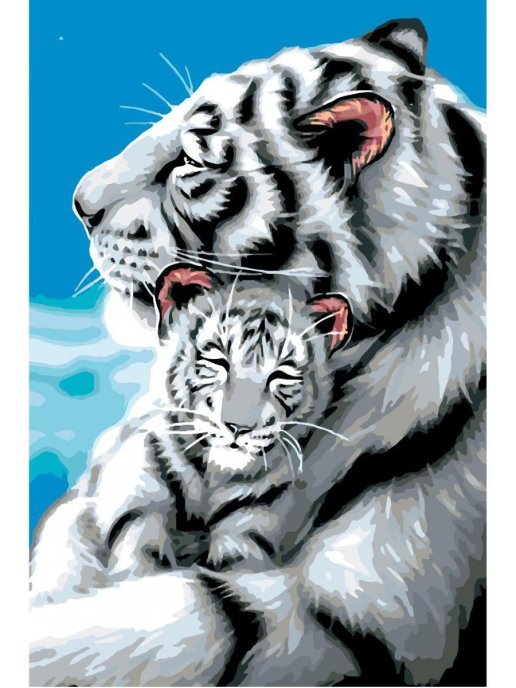 Красивый тигр