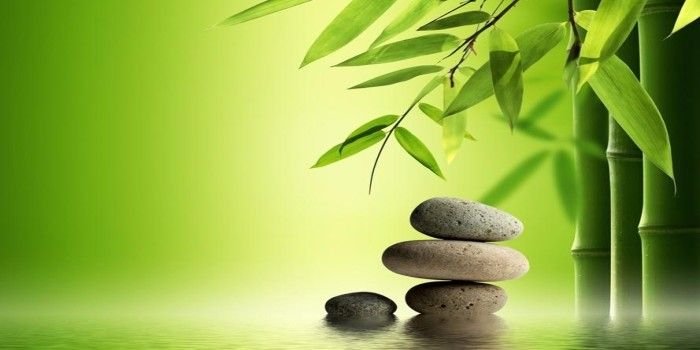 Китайская метафизика ба-Цзы