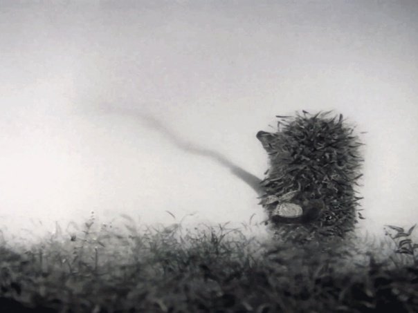 Ёжик в тумане Союзмультфильм 1975