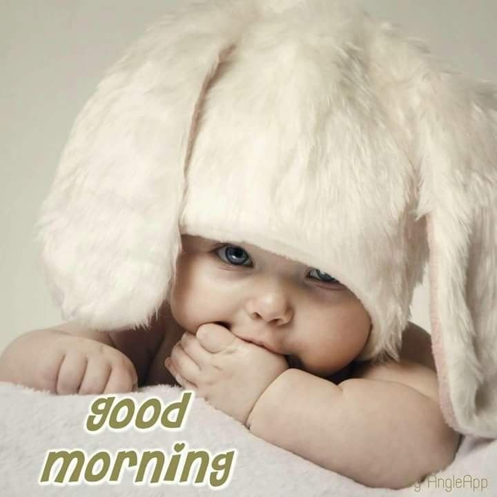 Картинки для малышей