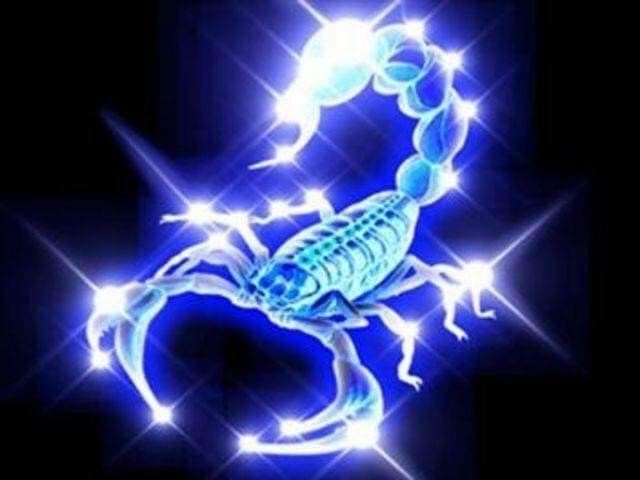 Красивый Скорпион