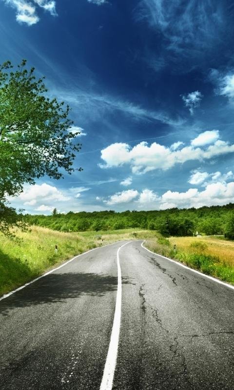 Дорога картинка