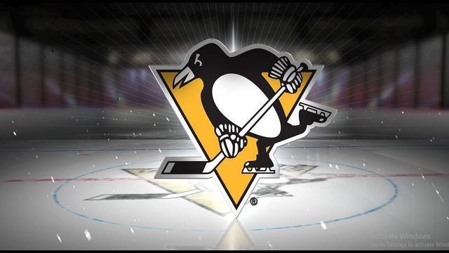 Хоккейная команда Питтсбург
