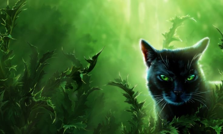 Живые обои с котами воителями