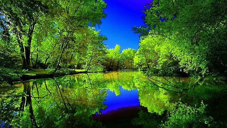 Красивая природа