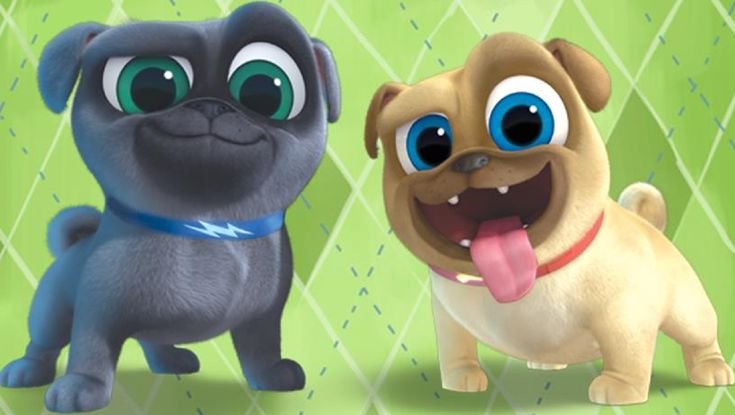 Дружные мопсы Ролли