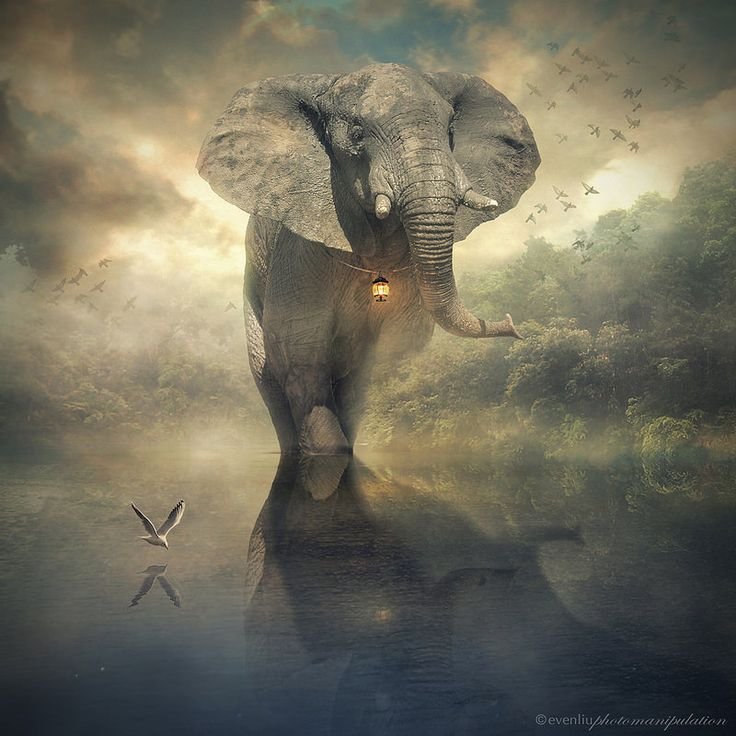 Летающий слон