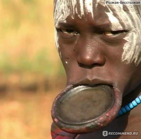 Дмитрий комаров мир наизнанку Африка