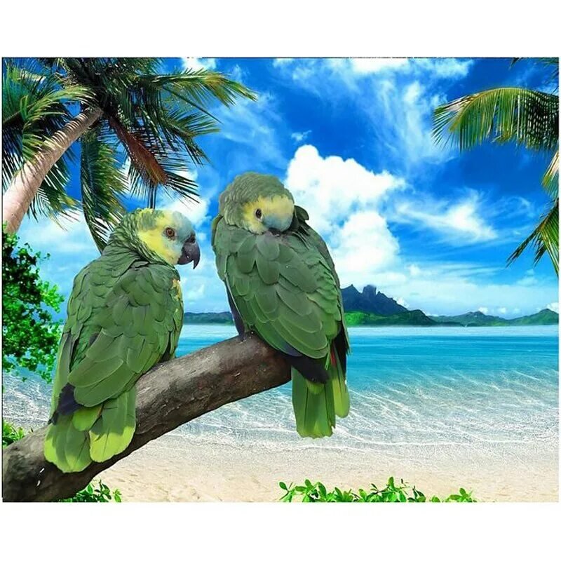 Тропический попугай