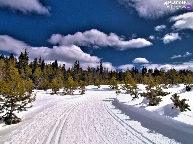 Таежные просторы Западной Сибири