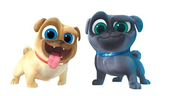 Мопсы Ролли и Бинго