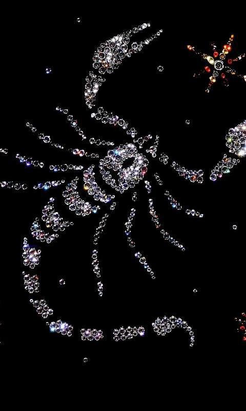 Красивый Скорпион