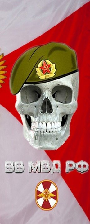 ВВ МВД РФ внутренние войска череп