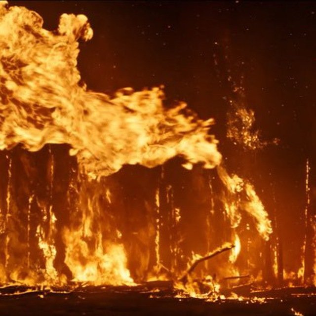 Алексей Соколов огонь