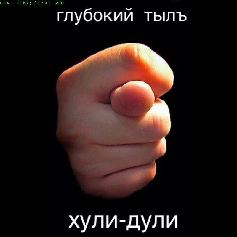 Фиг на черном фоне