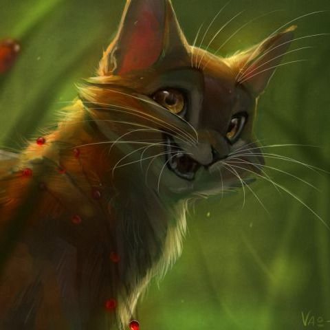 Коты Воители арт