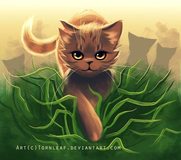 Коты Воители травинка кот