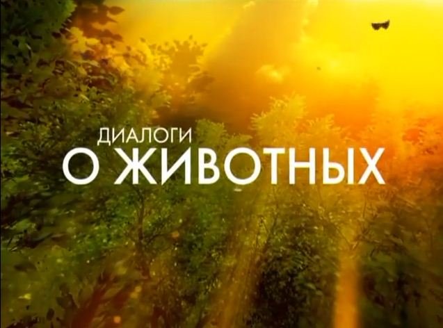 Заставка передачи диалоги о животных