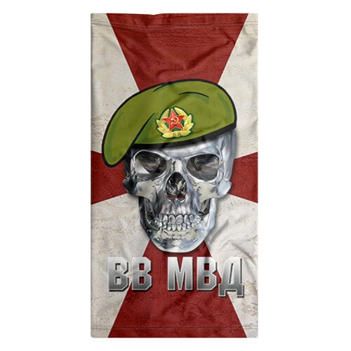 ВВ МВД РФ череп