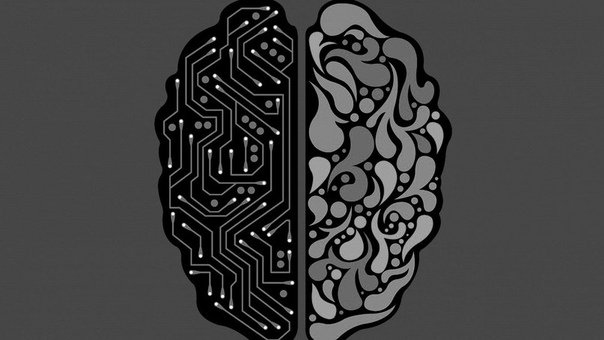 Мозг Минимализм