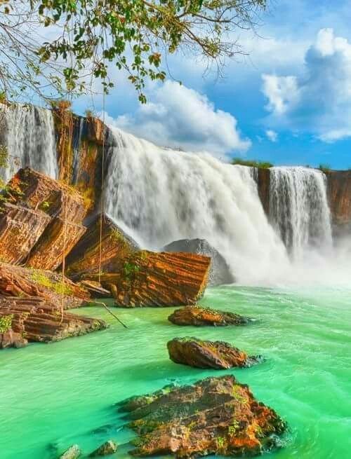 Живые пейзажи