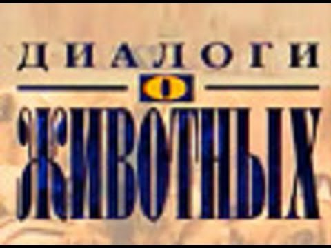 Диалоги о животных телепередача кадры