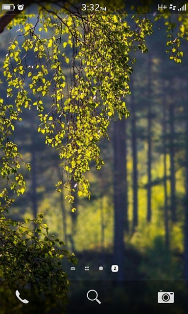 Дерево вертикальное