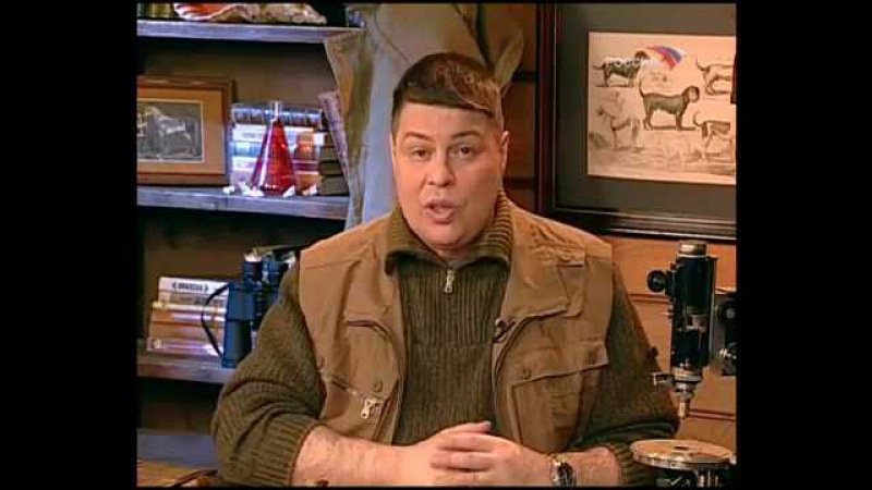 Диалоги о животных с Иваном Затевахиным