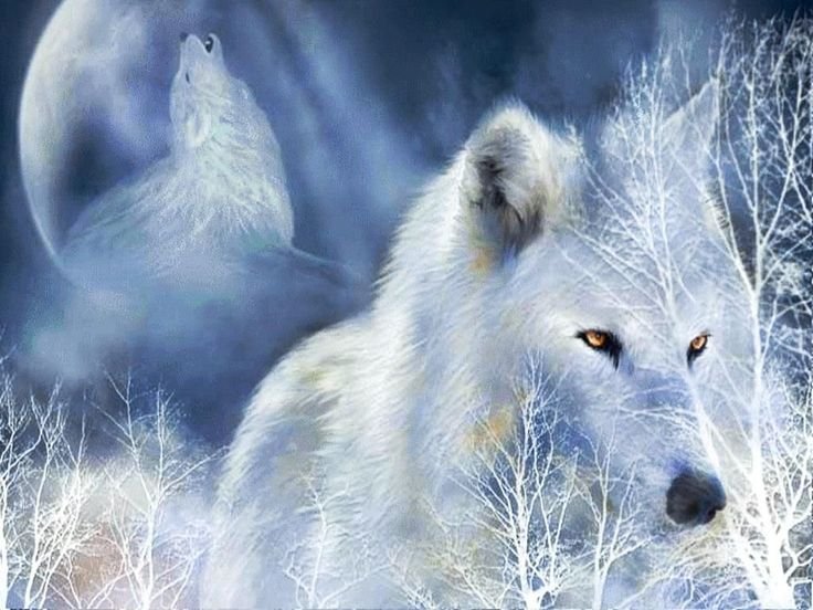 Кэрол Каваларис волки