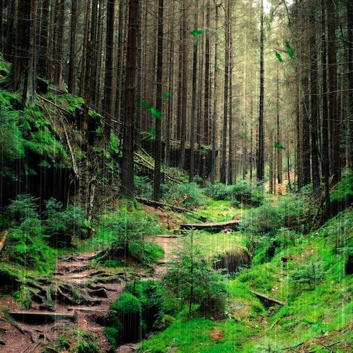 Природа лес