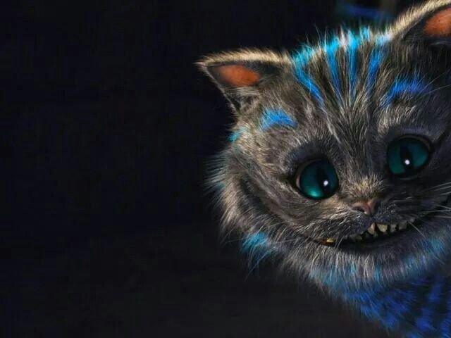 Фото Чеширского кота из Алисы в стране чудес