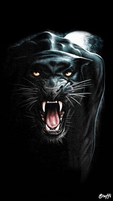 Красивая пантера